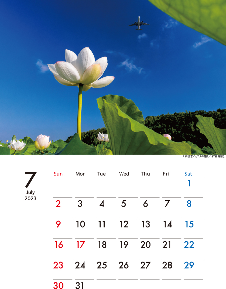 7月カレンダーイメージ